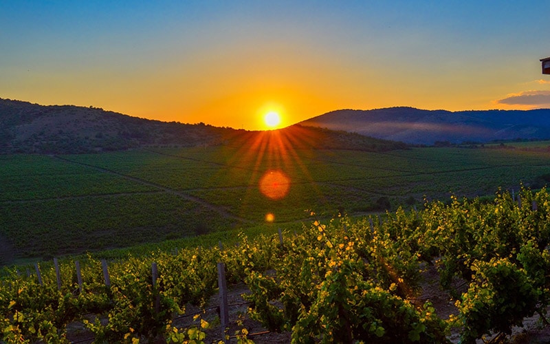 The Best Time to Visit Napa Valley 3 When is the Best time to visit Napa Valley